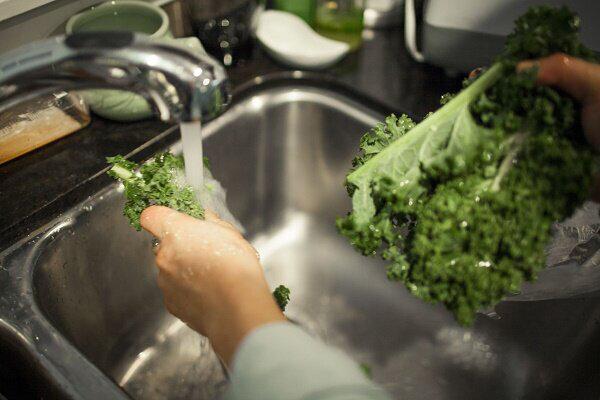 ابتلای 24 گیلانی به بیماری فاسیولا