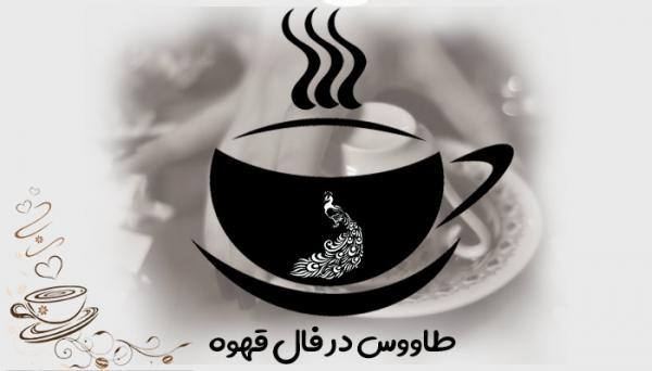 تعبیر و تفسیر طاووس در فال قهوه