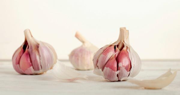 برترین روش های نگهداری از سیر تازه و خشک
